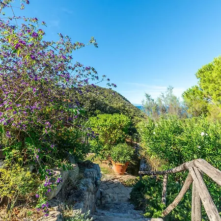 Le Ginestre Lux View - Goelba Holiday home
