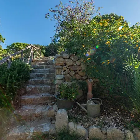 Le Ginestre Lux View - Goelba Holiday home Patresi